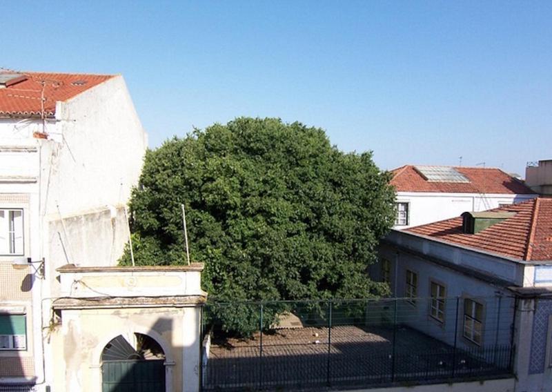 Bela Vista - Lissabon Altstadt Экстерьер фото